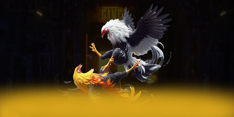 Tìm hiểu FB88 - Cổng game phổ biến nhất 2026