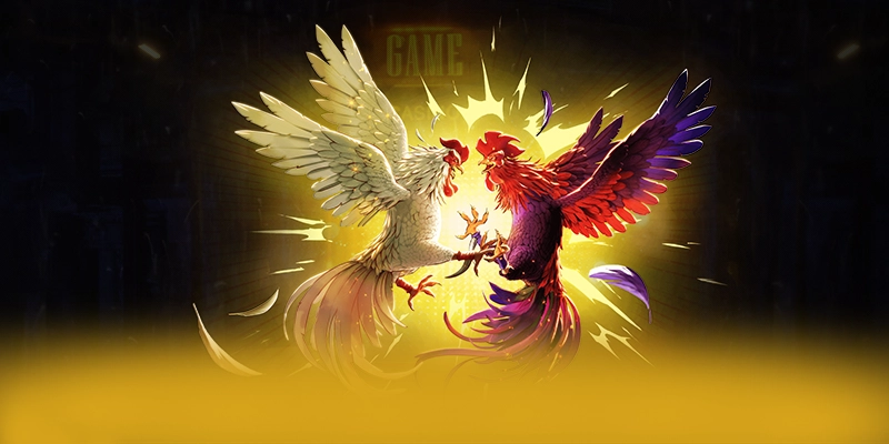 8XBET - Nhà cái sở hữu kho game phong phú 2026